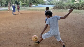 Catorce familias son multadas porque