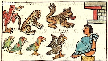 INAH publica estudio sobre el