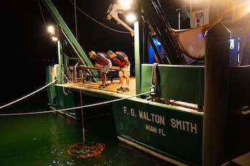 Volkov, a la izquierda, y