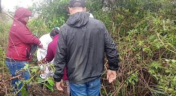 Varias personas de espaldas, una con traje blanco de protección, recorren una zona con ramas y vegetación densa