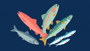 5 pescados con beneficios para la salud recomendados por dietistas