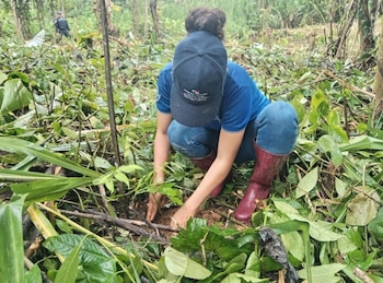 La propuesta apunta a consolidar recursos humanos dedicados al estudio y la gestión de la biodiversidad. (MiAmbiente)