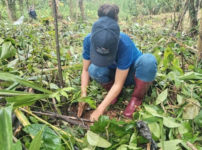 Panamá pone como prioridad respaldar la gestión forestal con investigación y formación