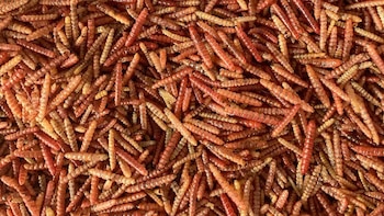 Su consumo se remonta a