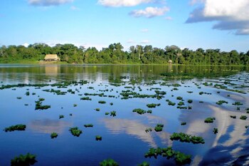 Pacaya Samiria en Perú. Foto: