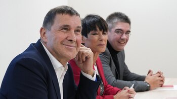 ERC y Bildu piden la