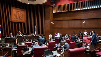 Senado dominicano evaluaría regulación para destinar bienes incautados a protección de mujeres víctimas de violencia