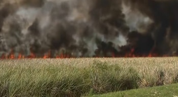 Vastas llamas rojas y negras columnas de humo se elevan sobre un campo de hierba alta y seca en un incendio forestal que consume el paisaje