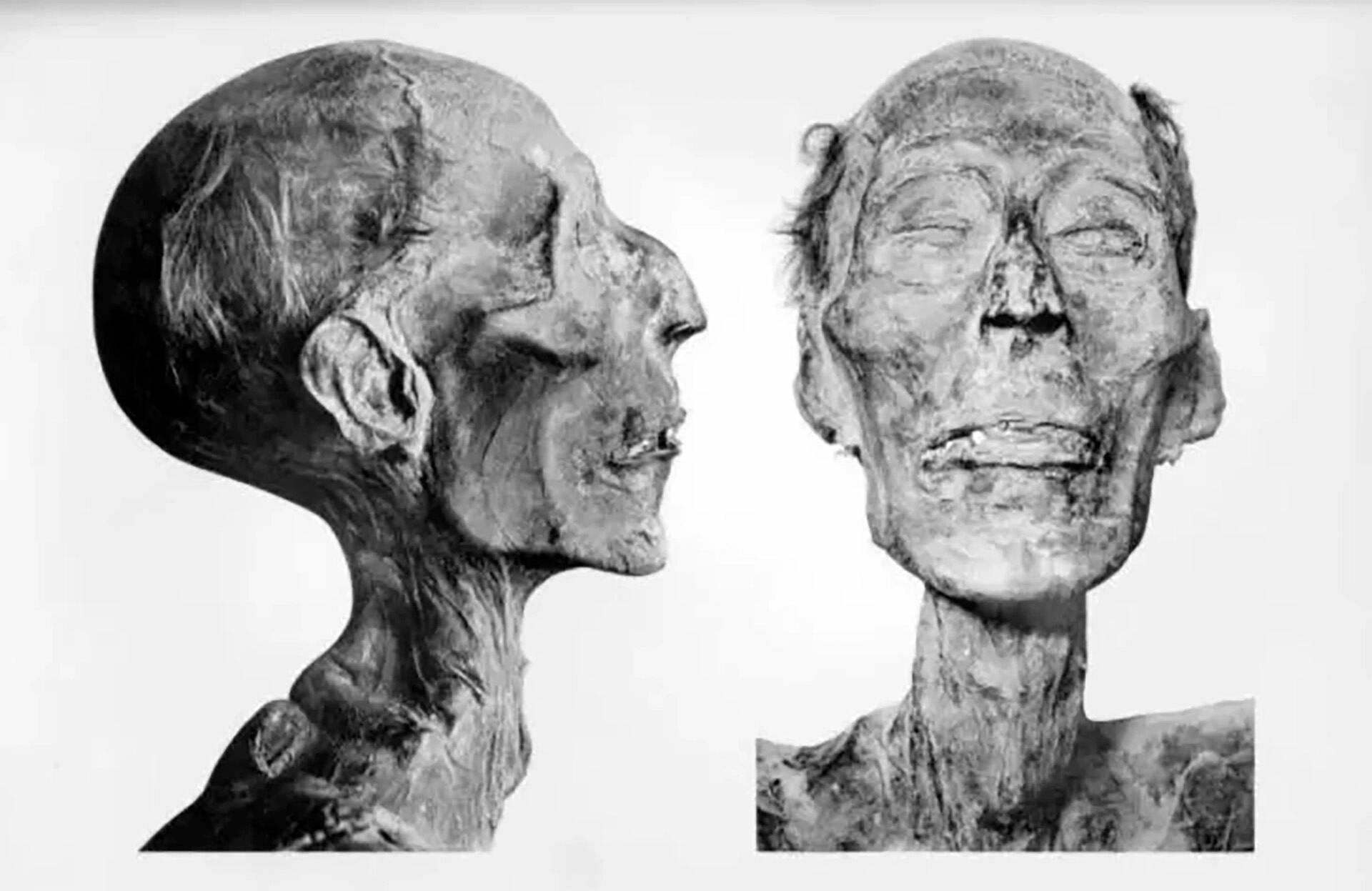 Técnicas forenses y análisis de ADN revelaron que Ramsés III fue asesinado por un complot liderado por su esposa secundaria Tiye y su hijo Pentawar (Crédito:Wikimedia Commons - G. Elliott Smith)