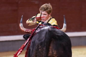 La tauromaquia “es violencia real”
