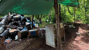 Fuerzas federales desarticulan red de producción de metanfetamina en Sinaloa y Michoacán con daño millonario al crimen organizado