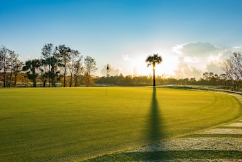 Las autoridades detuvieron a Junior