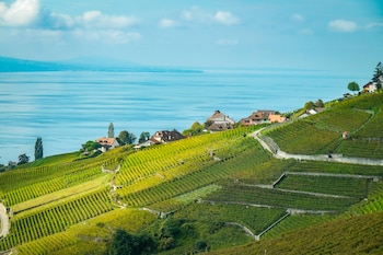 Las terrazas de Lavaux (Lavaux Vineyards)