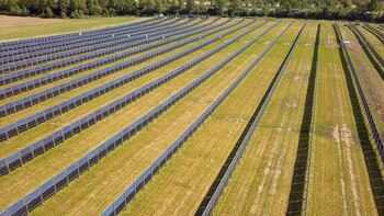 Paneles solares verticales refuerzan metas