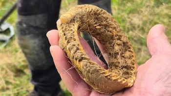Un hombre encuentra un collar