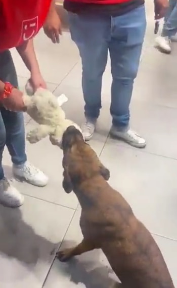 El emotivo momento se hizo