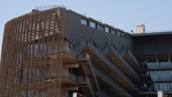 Revelan cómo la cooperación entre