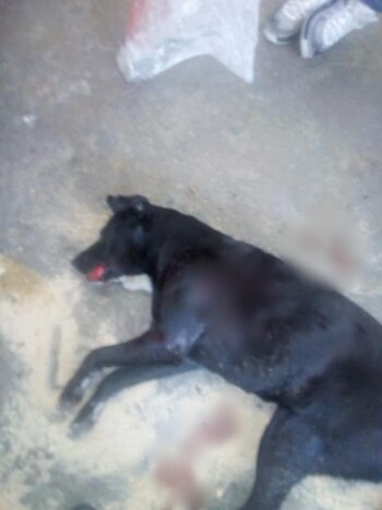 México es una de los