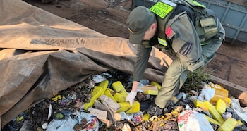 Agente de Gendarmería, con uniforme y guantes, revisa fardos amarillos de marihuana ocultos entre basura y escombros en un gran contenedor