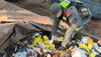 Gendarmería incautó más de 24 kilos de marihuana en una planta de residuos de Misiones