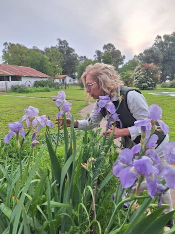 Otro interés de Silvana son