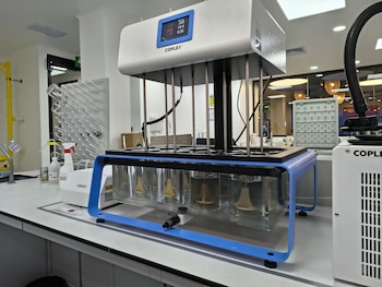 La colaboración entre mujeres líderes,