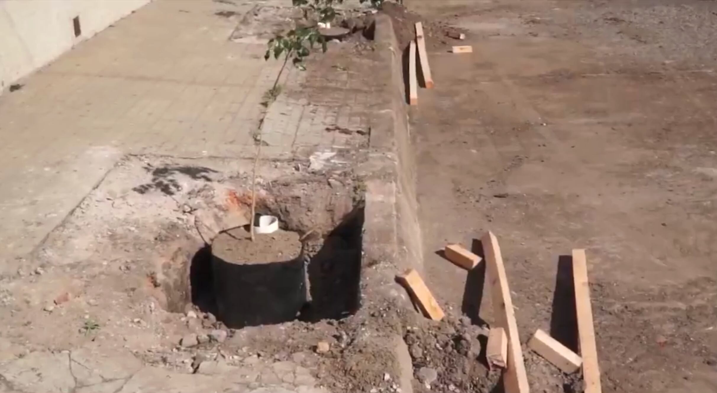 La municipalidad comenzó a ejecutar el Plan Reverdece, una iniciativa que prevé generar infraestructura verde y contribuir a reducir el calor en el verano