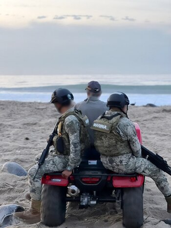 Realizan operativo de vigilancia de