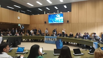 La CGT y las CTA hicieron un acto en la OIT