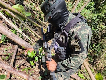 La plantación ilícita, extendida sobre dos manzanas, formaba parte de los intentos de organizaciones criminales por producir cocaína en áreas protegidas de Honduras./(Secretaría de Estado de Defensa Nacional)