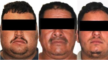 Ils ont condamné le « pingouin »,