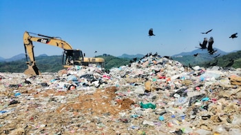 Profepa impone multa millonaria y