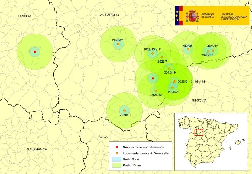 Focos de Newcastle en Castilla y León. (Ministerio de Agricultura)
