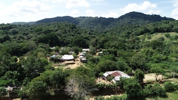 Los bosques peruanos cumplen un