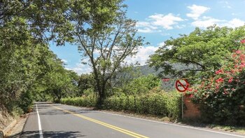 Transport sector has planted more