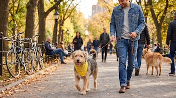 Un hombre sonriente camina sujetando la correa de un perro de pelaje marrón y gris con un paliacate amarillo, en un parque con hojas secas y otras personas.