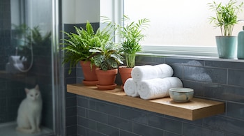 Macetas con plantas, toallas blancas enrolladas, cuenco de cerámica sobre repisa de madera. Azulejos grises con gotas de agua. Gato blanco sentado al fondo.