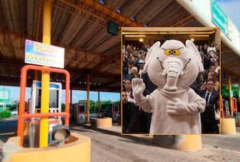El congresista 'Elefante blanco' aseguró que se debe establecer una distancia entre los pejes - crédito Colprensa y @Elefanteblanco/Instagram
