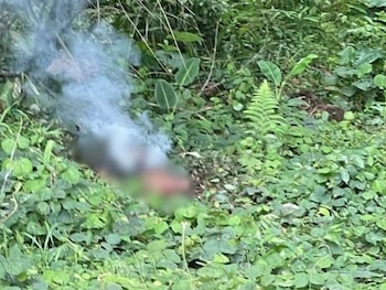 Los cinco agentes de la DIPAMPCO fueron asesinados durante un operativo en la frontera entre Honduras y Guatemala. (FOTO: La Prensa)
