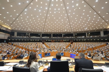 Imagen XIT6EC2ZUNGIBB3IH4PYTE3FAE