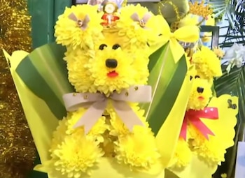 El popular osito de la