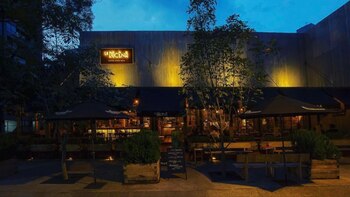 “Jamás me había sentido tan