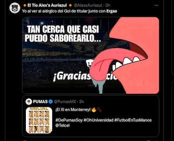 Memes pumas