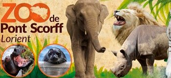 La campaña para cambiarle la