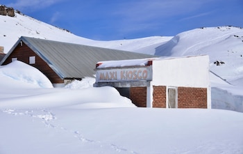 Copahue tiene una población estable
