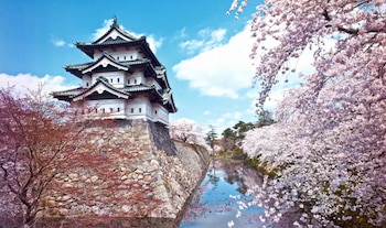 Castillo japonés sobre un muro de piedra junto a un foso con agua rodeado de cerezos en flor bajo un cielo azul con nubes