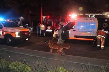 Evil y Ecko son parte del equipo de rescatistas de la Secretaría de Marina (Foto: Twitter / @webcamsdemexico)