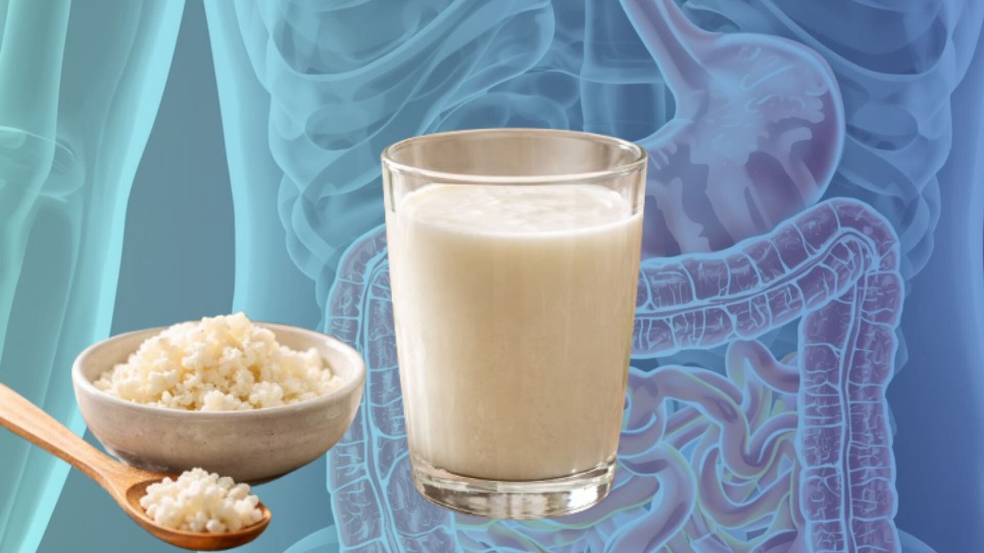 La variedad de opciones fermentadas sin lácteos se adapta a diferentes restricciones y ayuda a sumar probióticos de otras formas. (Anayeli Tapia/Infobae)