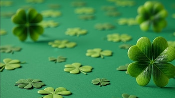 ¿Por qué se celebra el