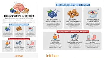 Infografía de un cerebro, arándanos, nueces y un tazón de avena. Iconos de persona con obesidad, glucómetro, tensiómetro, estómago y barra de energía.